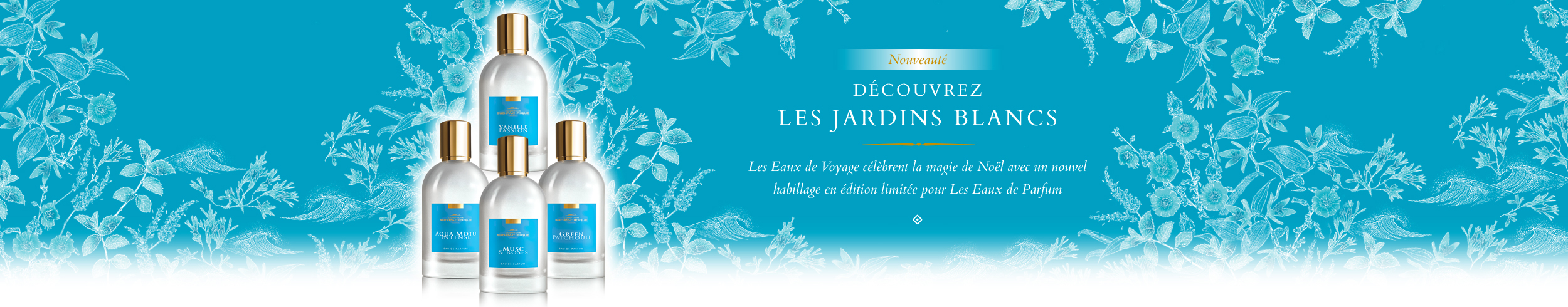 illustration comptoir sud pacifique